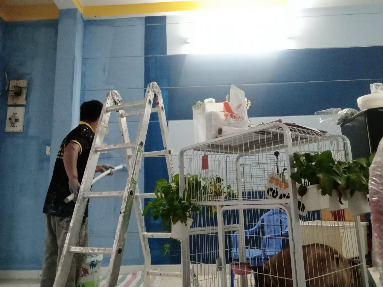 sơn sửa nhà quận 6